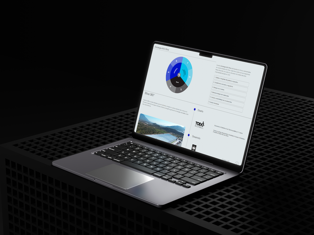Grupo Stiva — proyecto Mimic